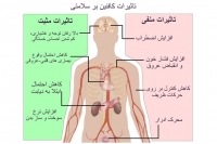 تاثیرات کافئین بر سلامتی