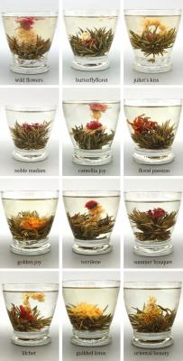 چای سفید گل tea recipes flowering teas 1